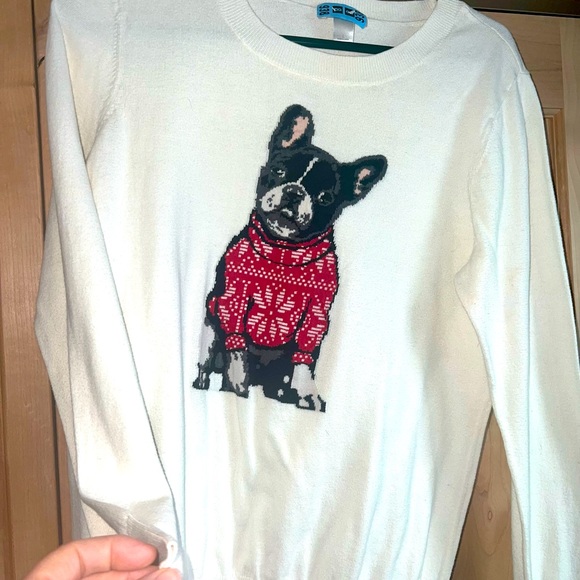 LOFT Sweaters - Ann Taylor Loft Frenchie- Boston ivory sweater SZ L